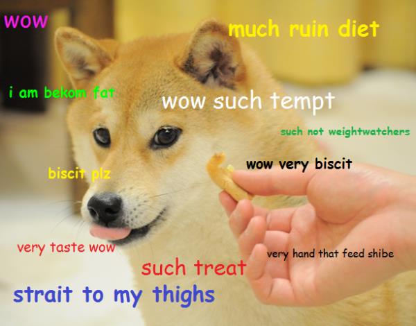 dogecoin-meme.jpg