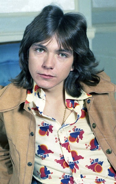 David Cassidy: The violent death of a superfan that haunted troubled
