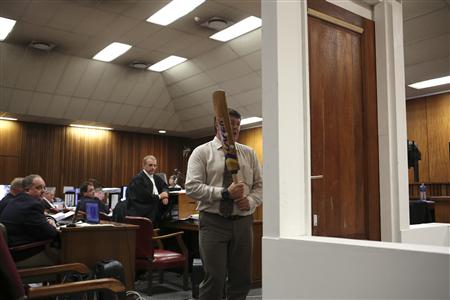 Pistorius Smashed Toilet Door with Bat, Expert Says