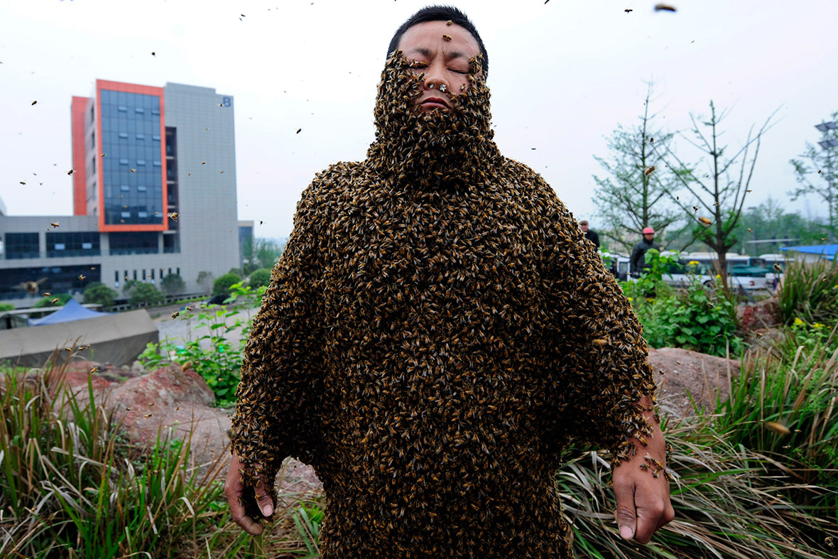 Chinese Beekeeper She Ping Sets World Record For Heaviest Insect Coat
