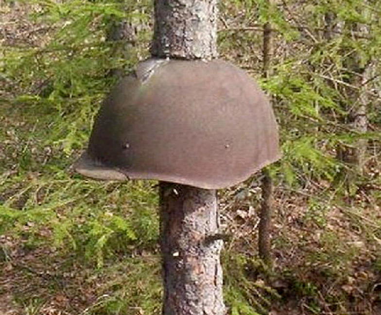 For The Heavily Forested Russian 63