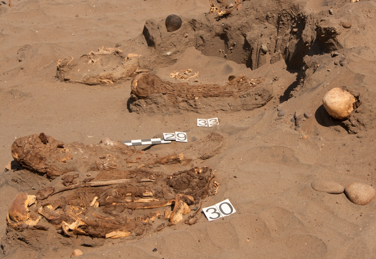 Peru: 150 Mummies of Ancient Unknown Civilisation Discovered in Atacama Desert [PHOTOS] Peruvian-mummies-1