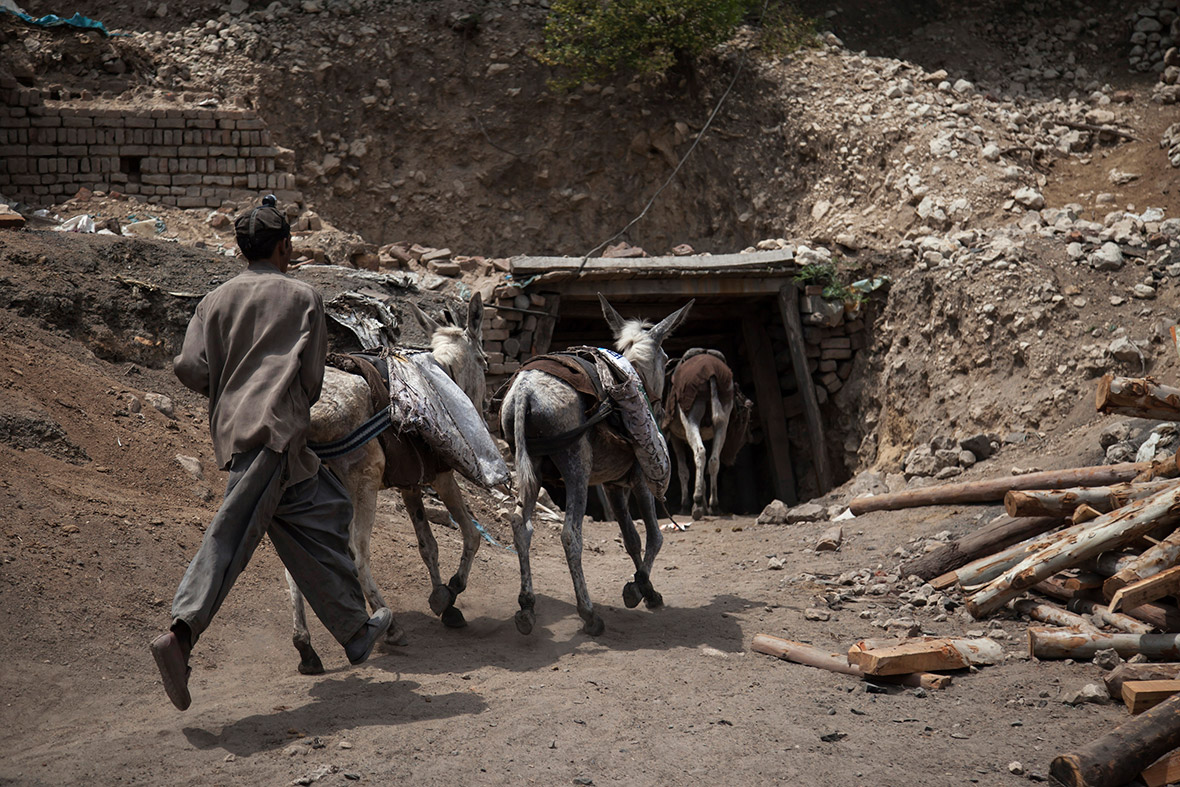 A young miner rushes his donkeys back into the coal mine