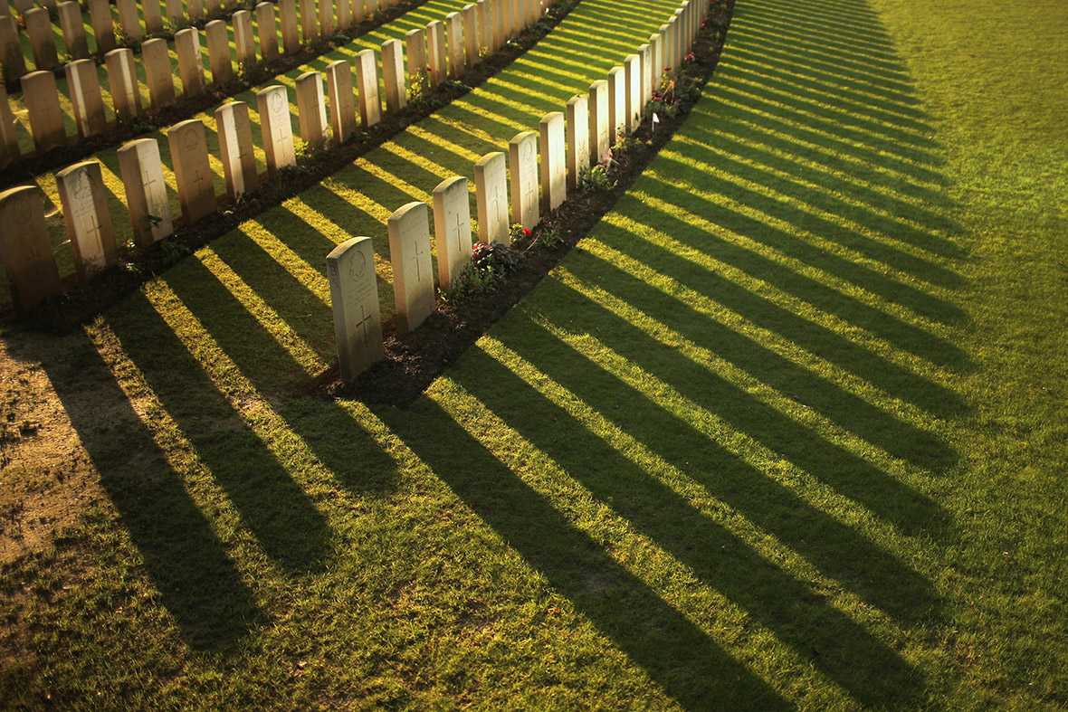 flanders fields