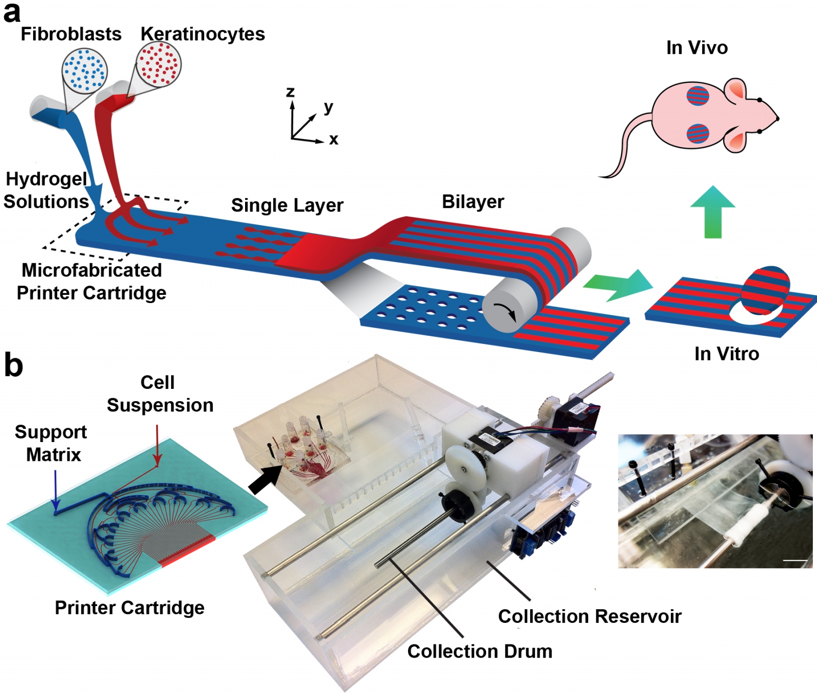 PrintAlive 3D Bioprinter Creates 'Living Bandage' Skin Grafts to Treat