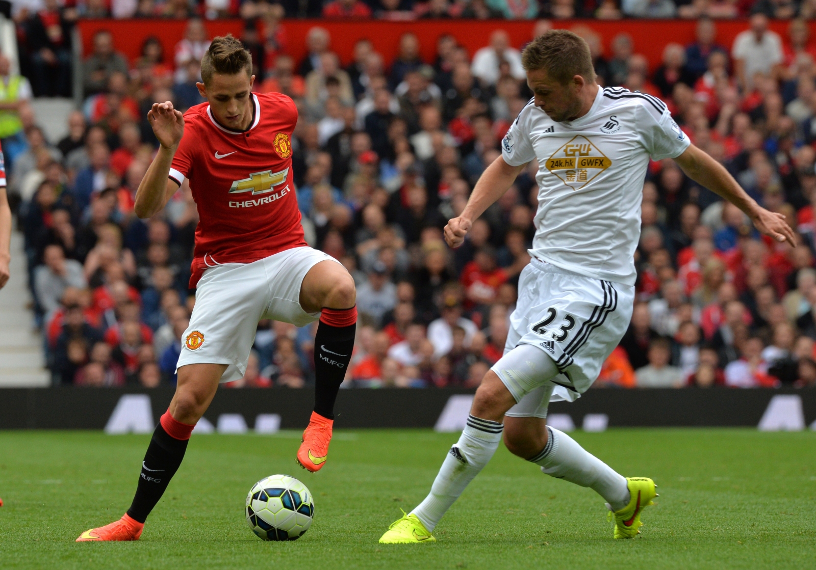 Adnan Januzaj Adnan Januzaj