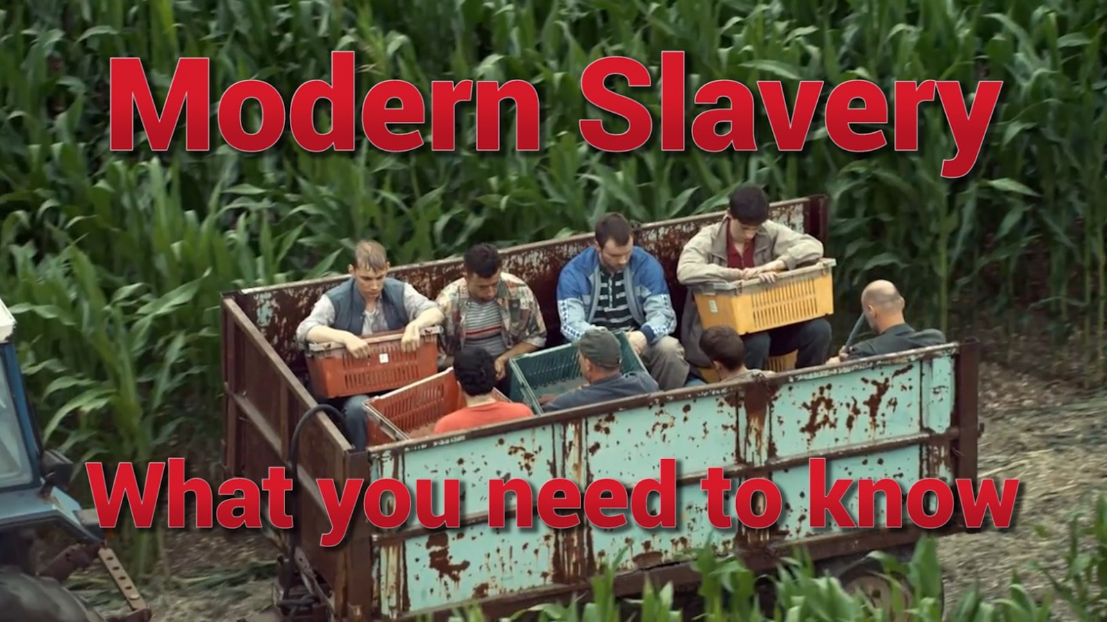 Modern Slavery – What You Need To Know