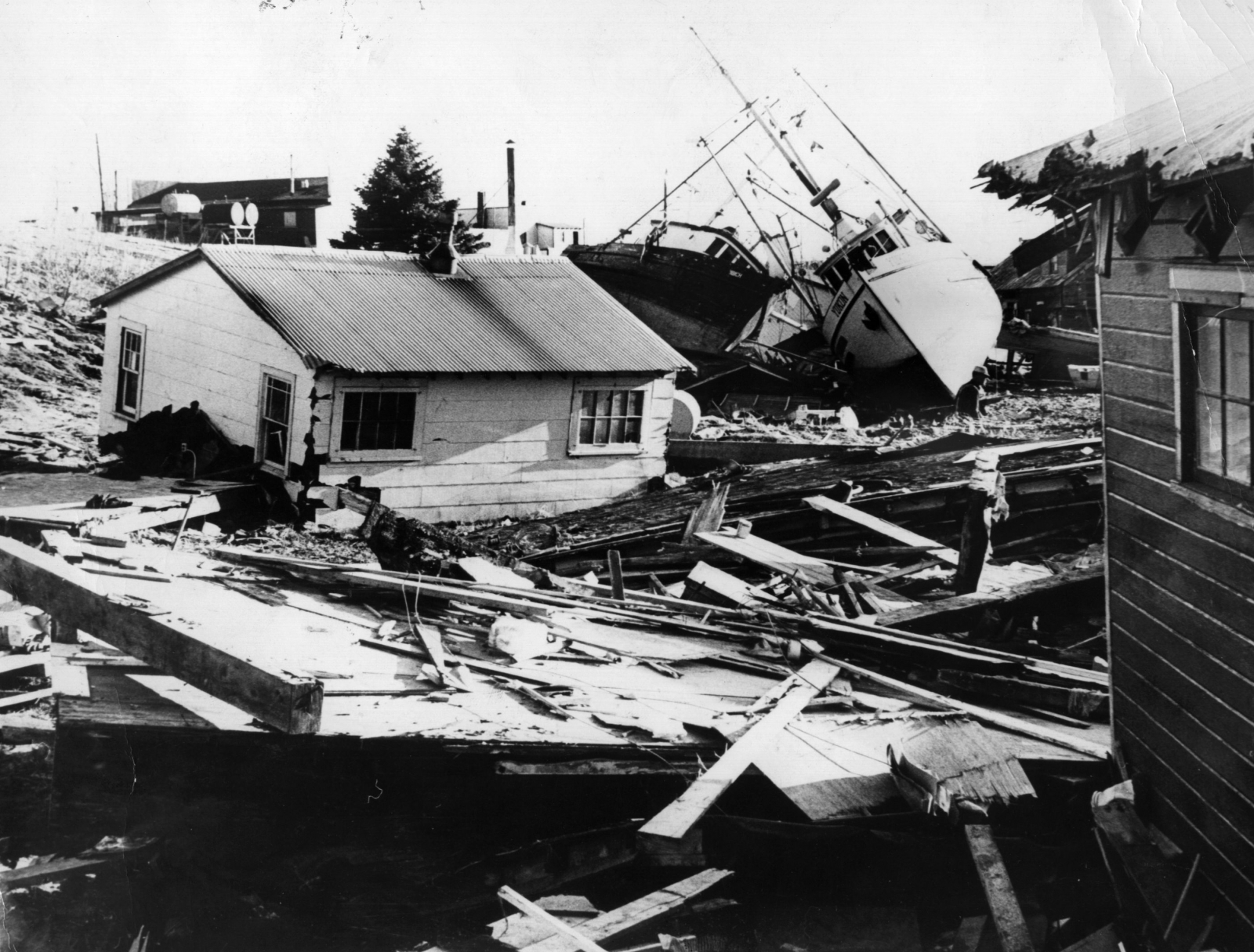 San Francisco Earthquake And The 1964 Alaska