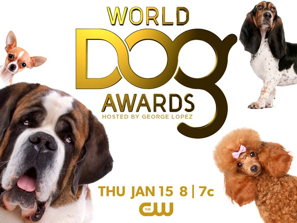 The World Dog Awards on The CW online: Watch Ian Somerhalder and Paris