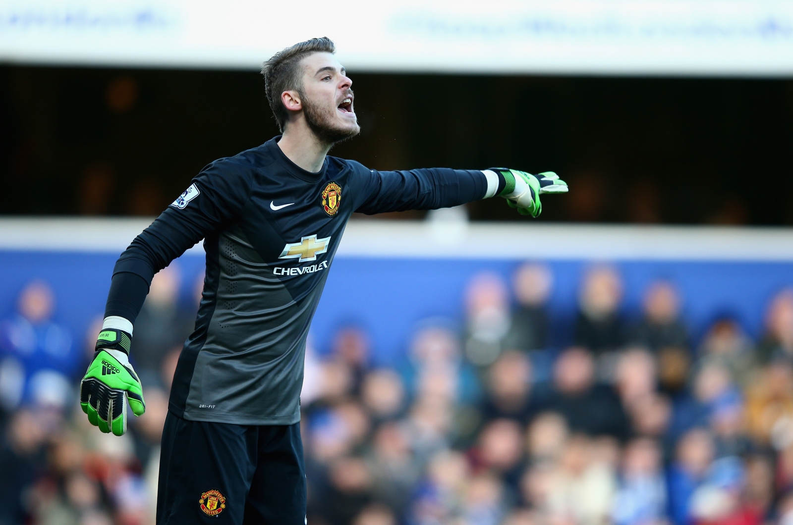 David de Gea David de Gea