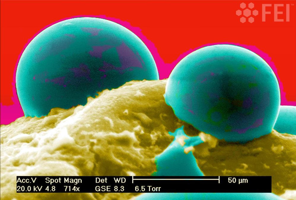 Droplets of water on sandstone Droplets of water on sandstone