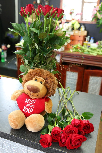 Valentine's Day 2015