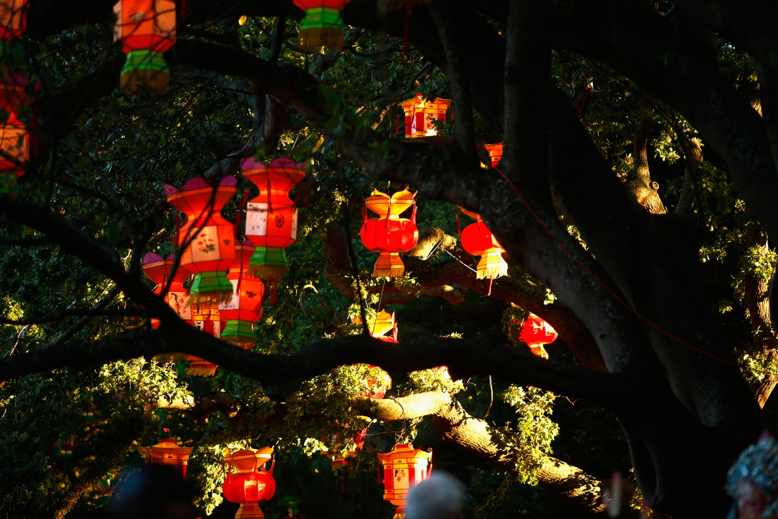 Lantern Festival: History and origins of the 2,200-year-old Chinese celebration