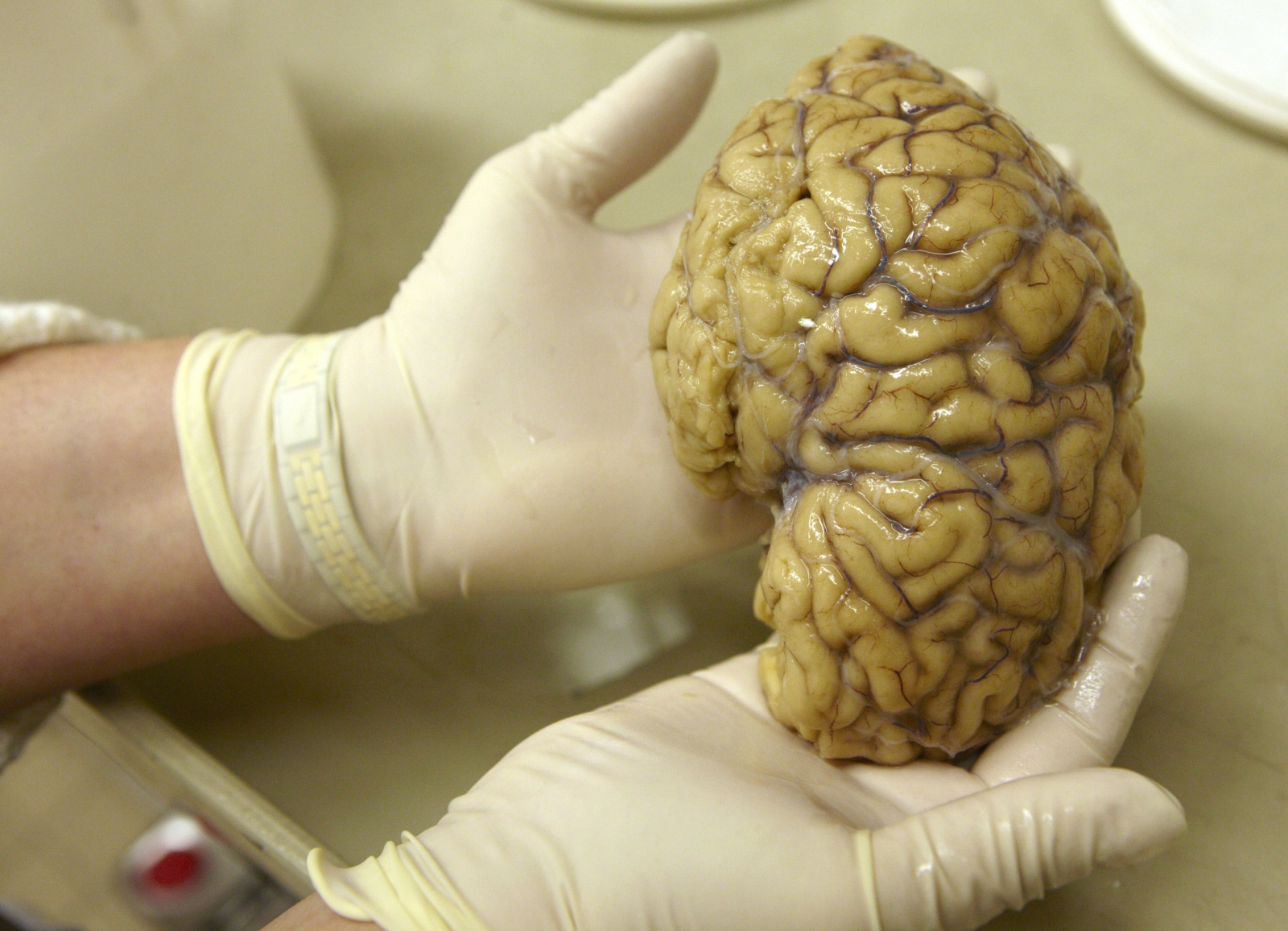 Brain scans show how people justify killing other humans