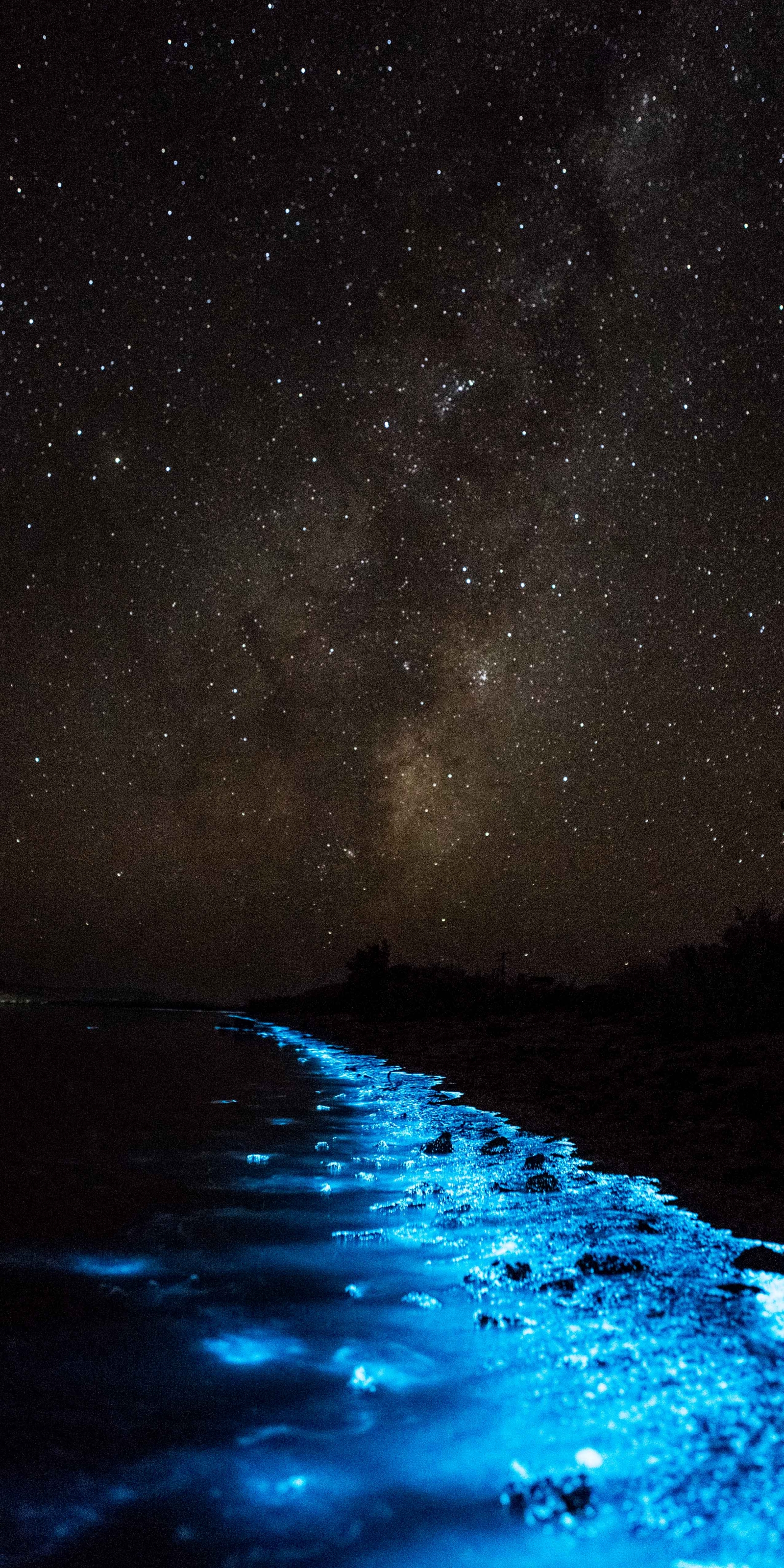 Natures Rhapsody In Blue Tasmania Shoreline Glitters With Magical