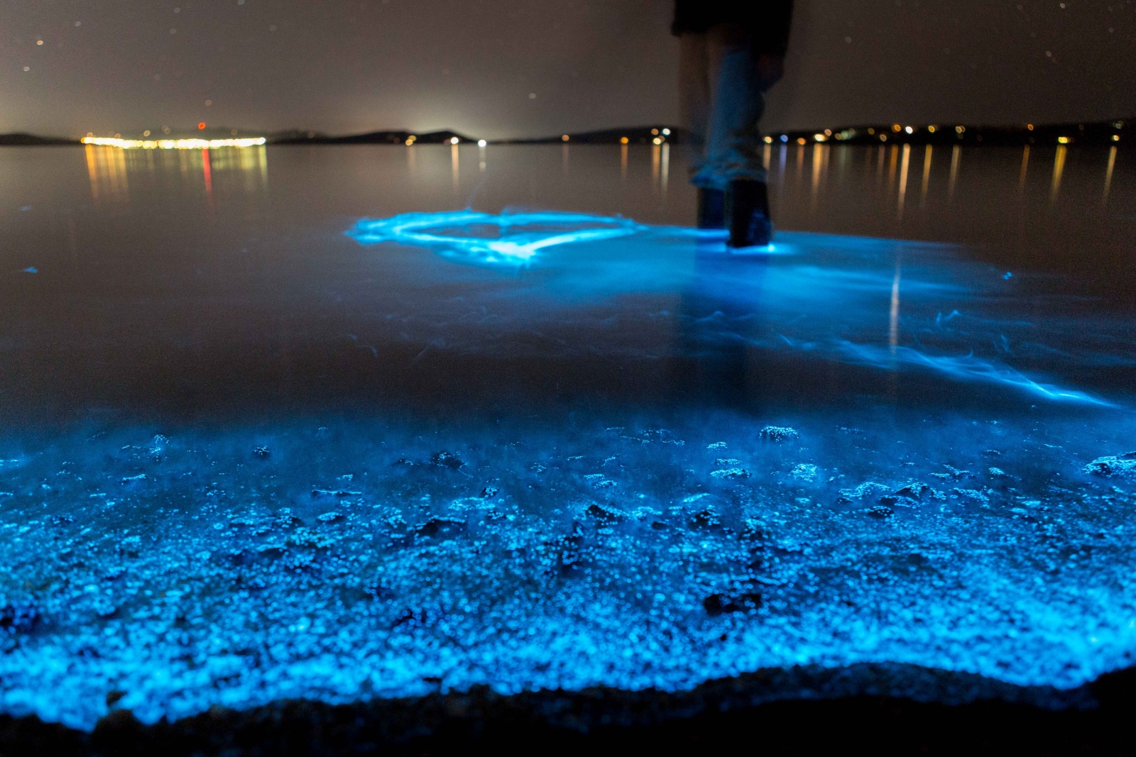 nature-s-rhapsody-in-blue-tasmania-shoreline-glitters-with-magical