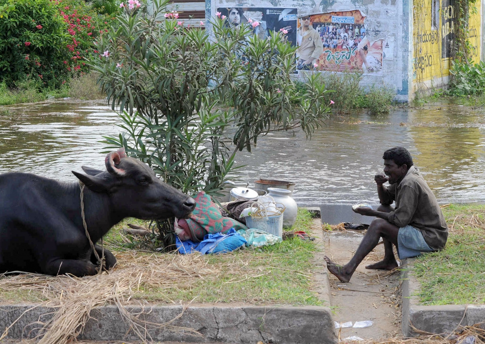 people per square mile - Vijayawada, India