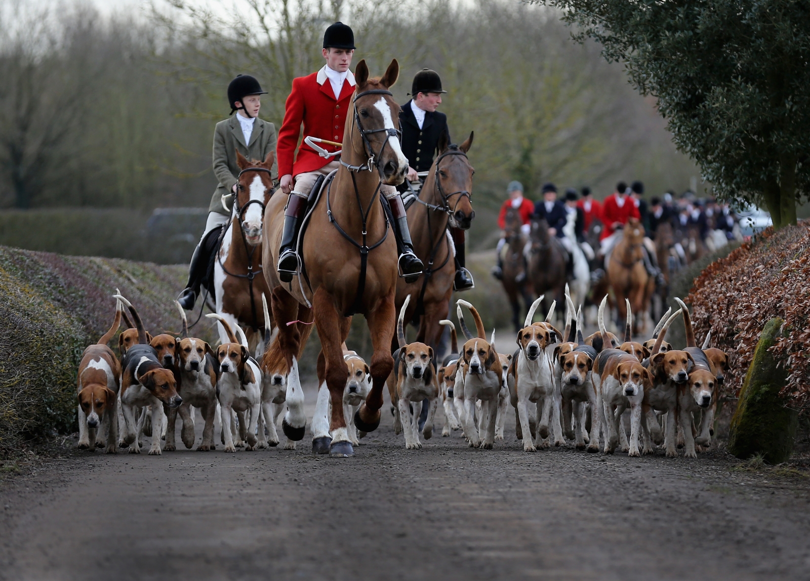 fox-hunting-change-vote-cancelled-following-snp-u-turn