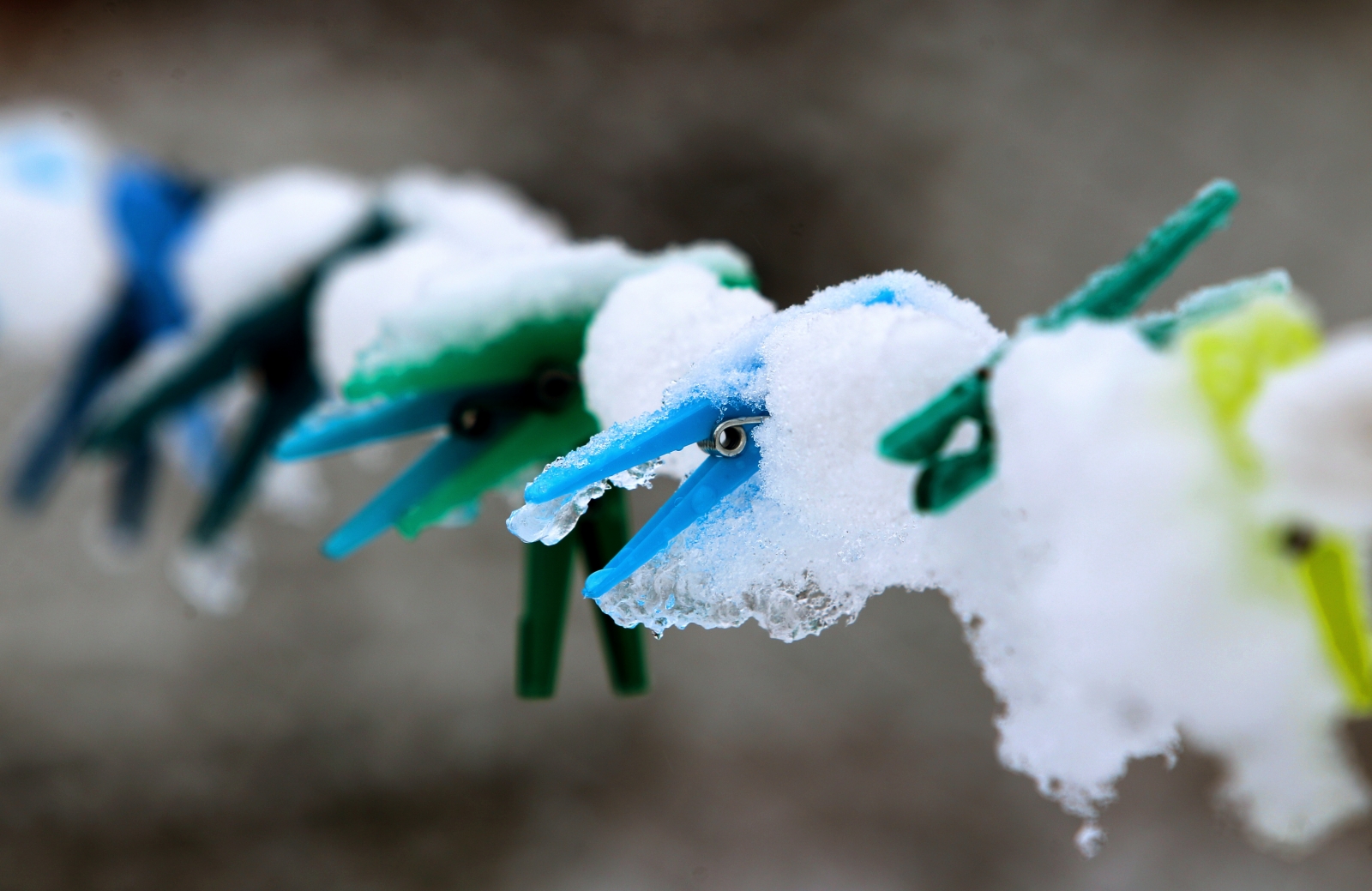 Guinness World Records 60th anniversary The most weird and wonderful