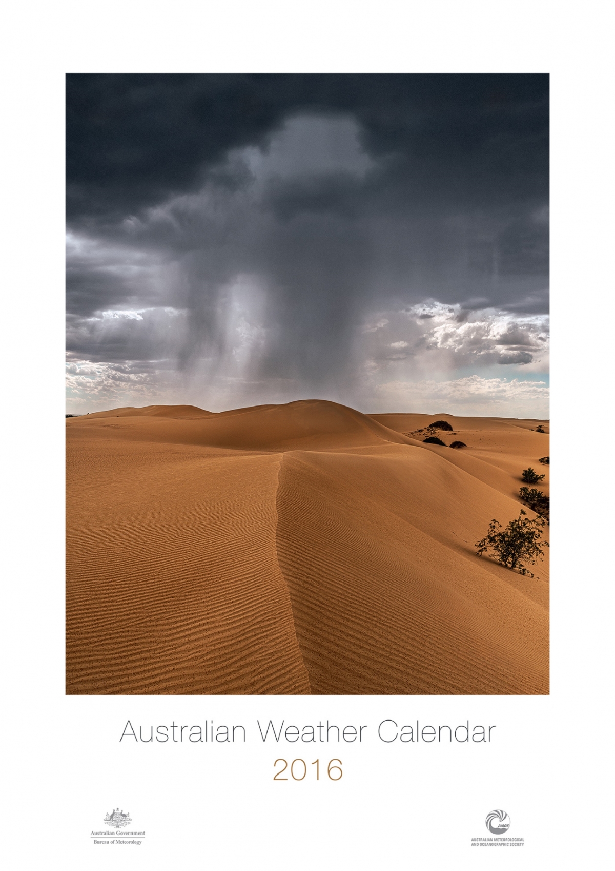 Fogbow, dust devil and a fallstreak hole: Breathtaking images of...