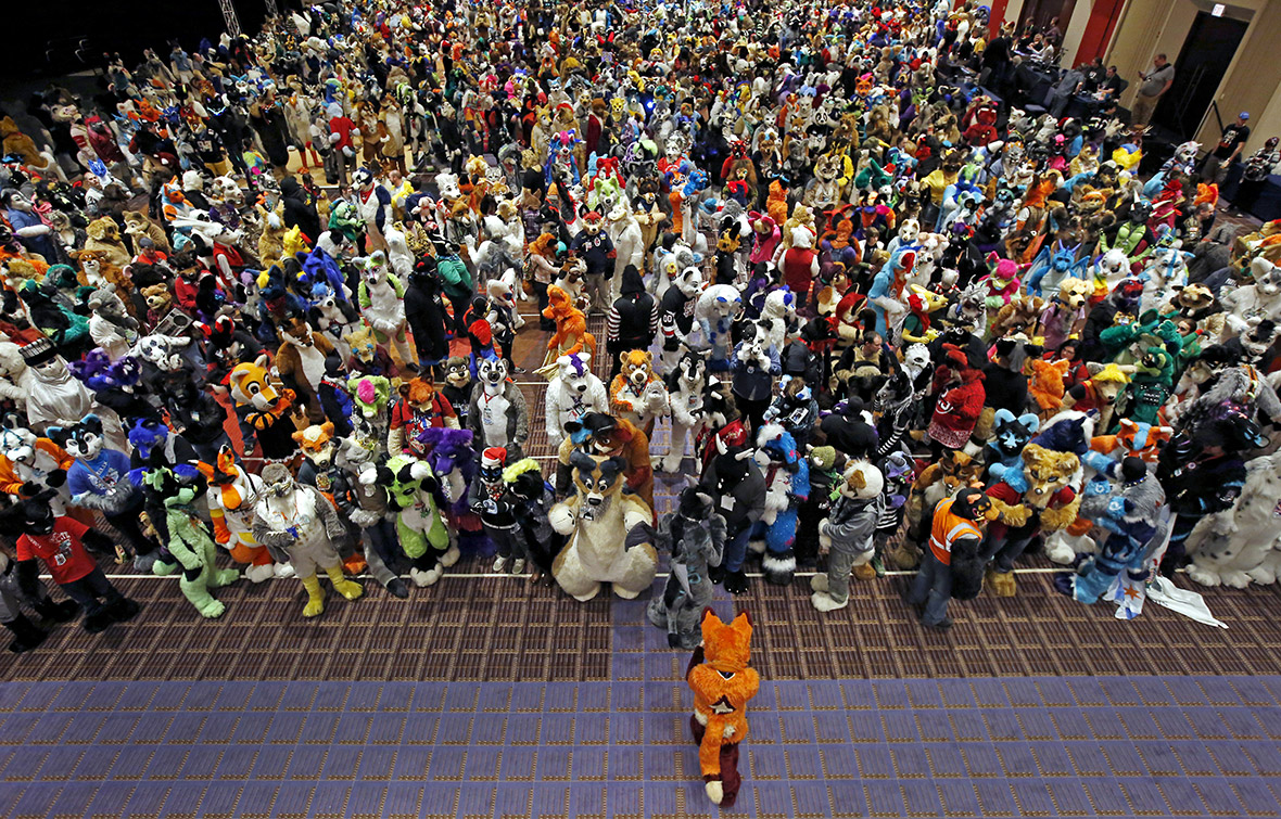 Midwest Furfest 2015 More than 5,000 gather in Chicago for Furry