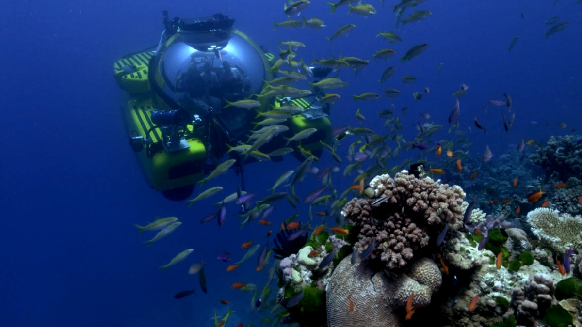 Natural History Museum VR experience lets you explore the Great Barrier