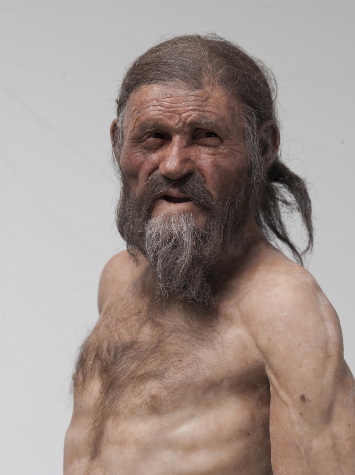 Bacteria In The Stomach Of Ötzi The Iceman Changes Theories Of Ancient ...