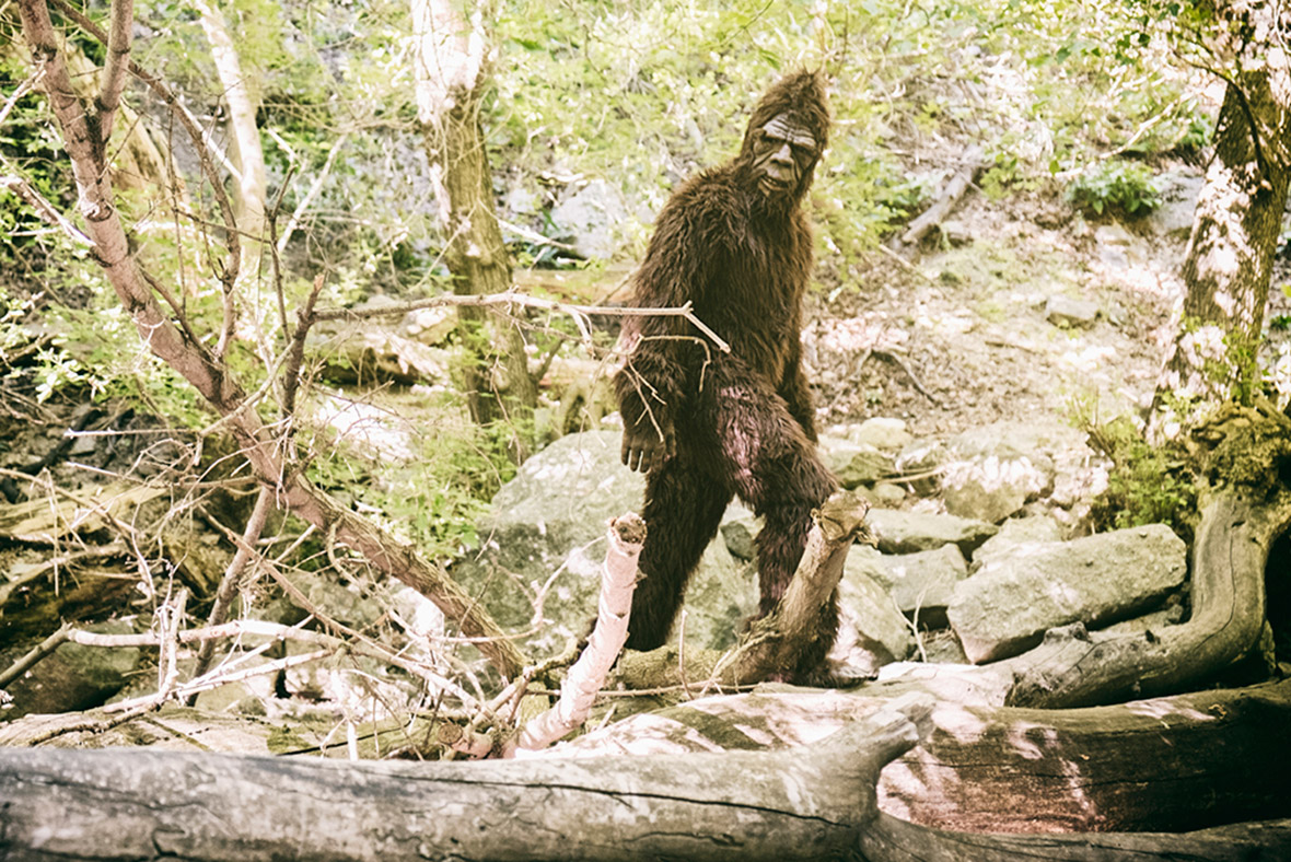 bigfoot pictures