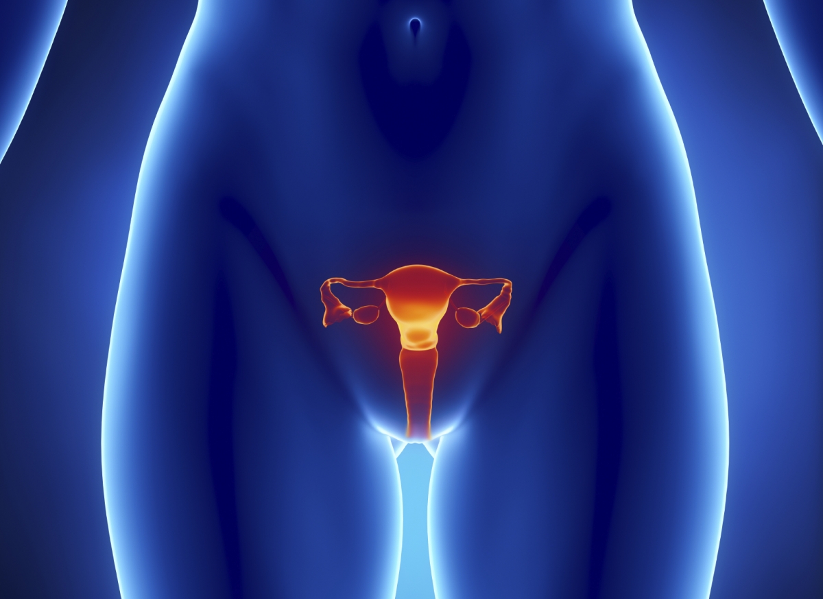 womb detox dangerous womb detox dangerous