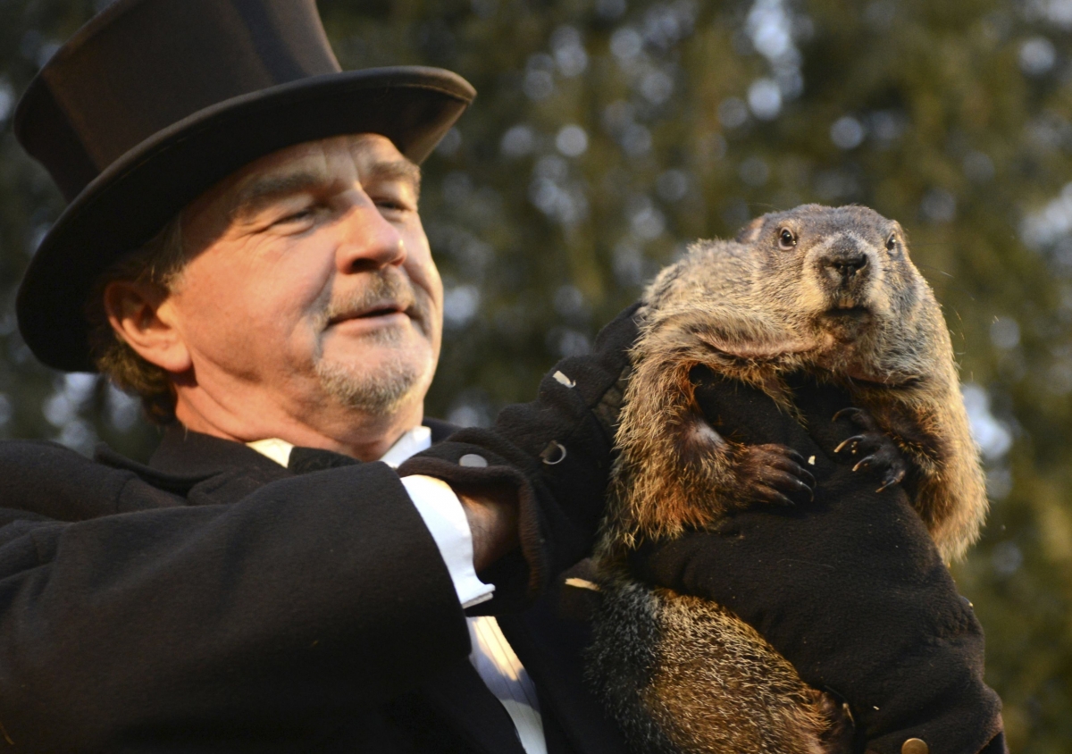 Groundhog Day 2016 Punxsutawney Phil predicts an an early spring