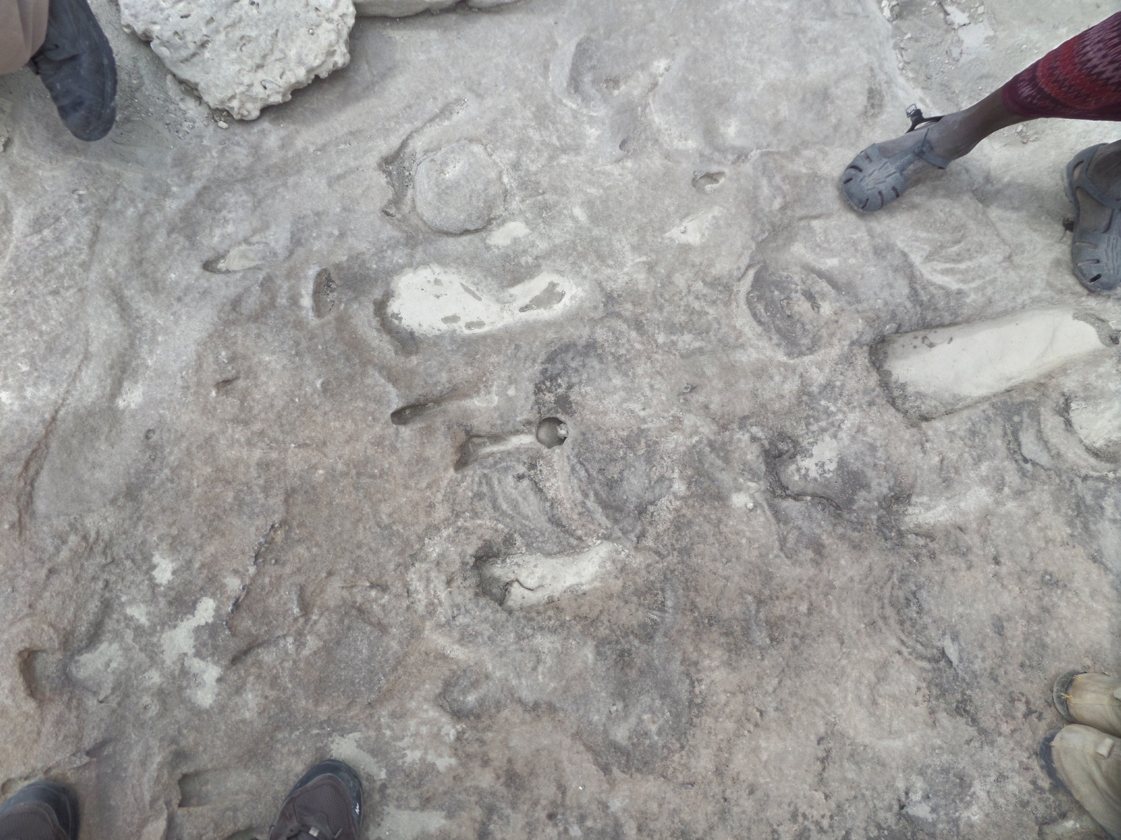 Eritrea: Oldest Homo erectus footprints ever discovered adds piece to