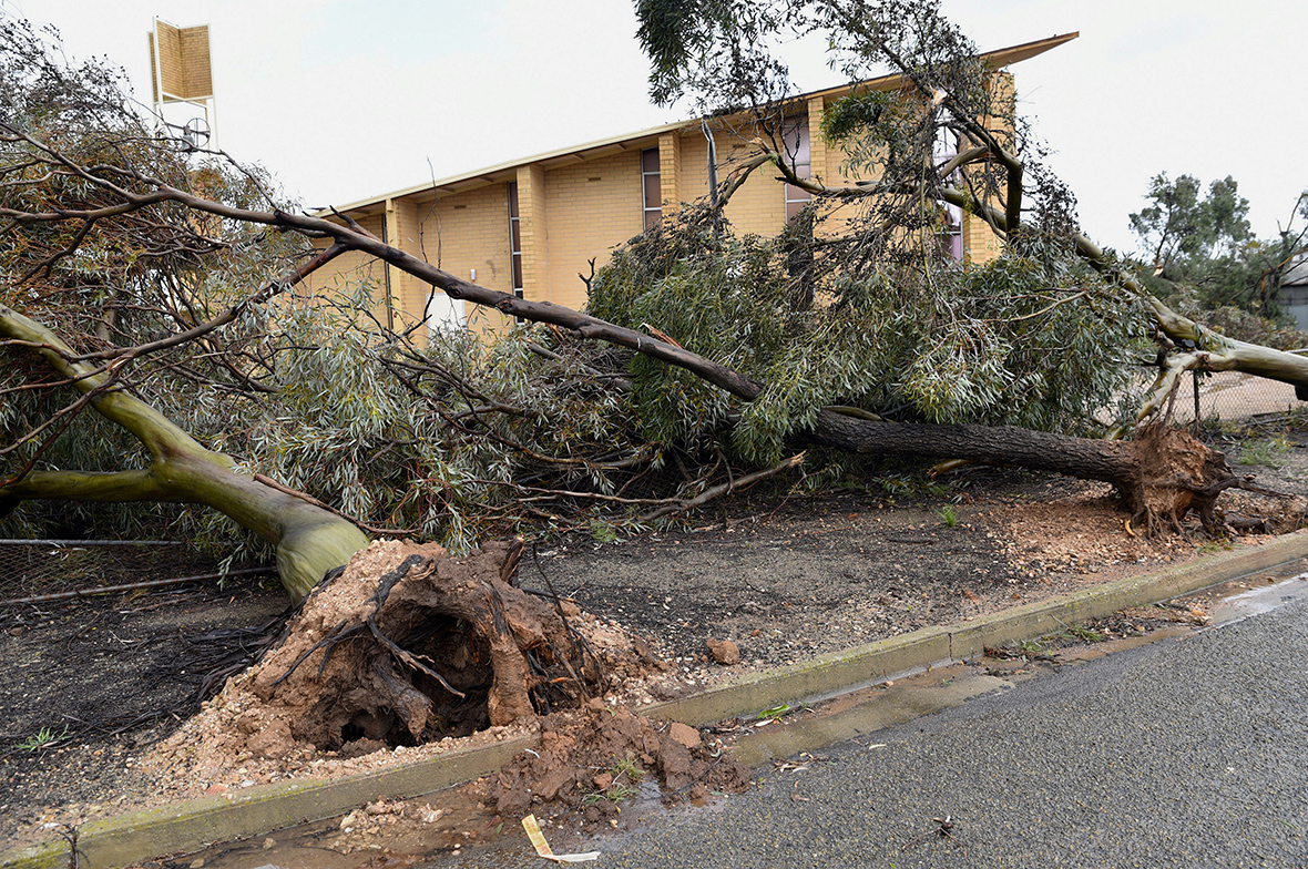 South Australia blackout as 'apocalyptic weather' hits with 100,000