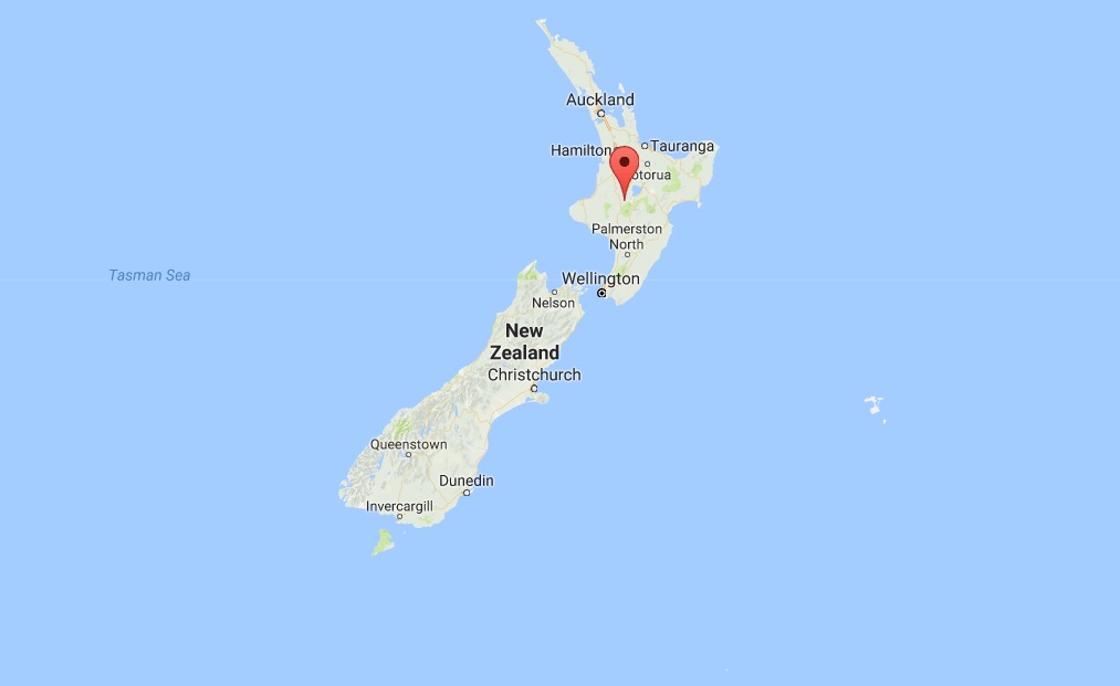 Britons hurt in bus crash in New Zealand's Tongariro Forest Park - International Business Times UK