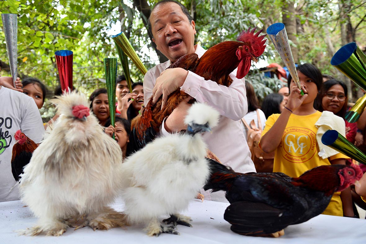 Chinese New Year: Millions prepare for Year of the Rooster as Spring Festival ...