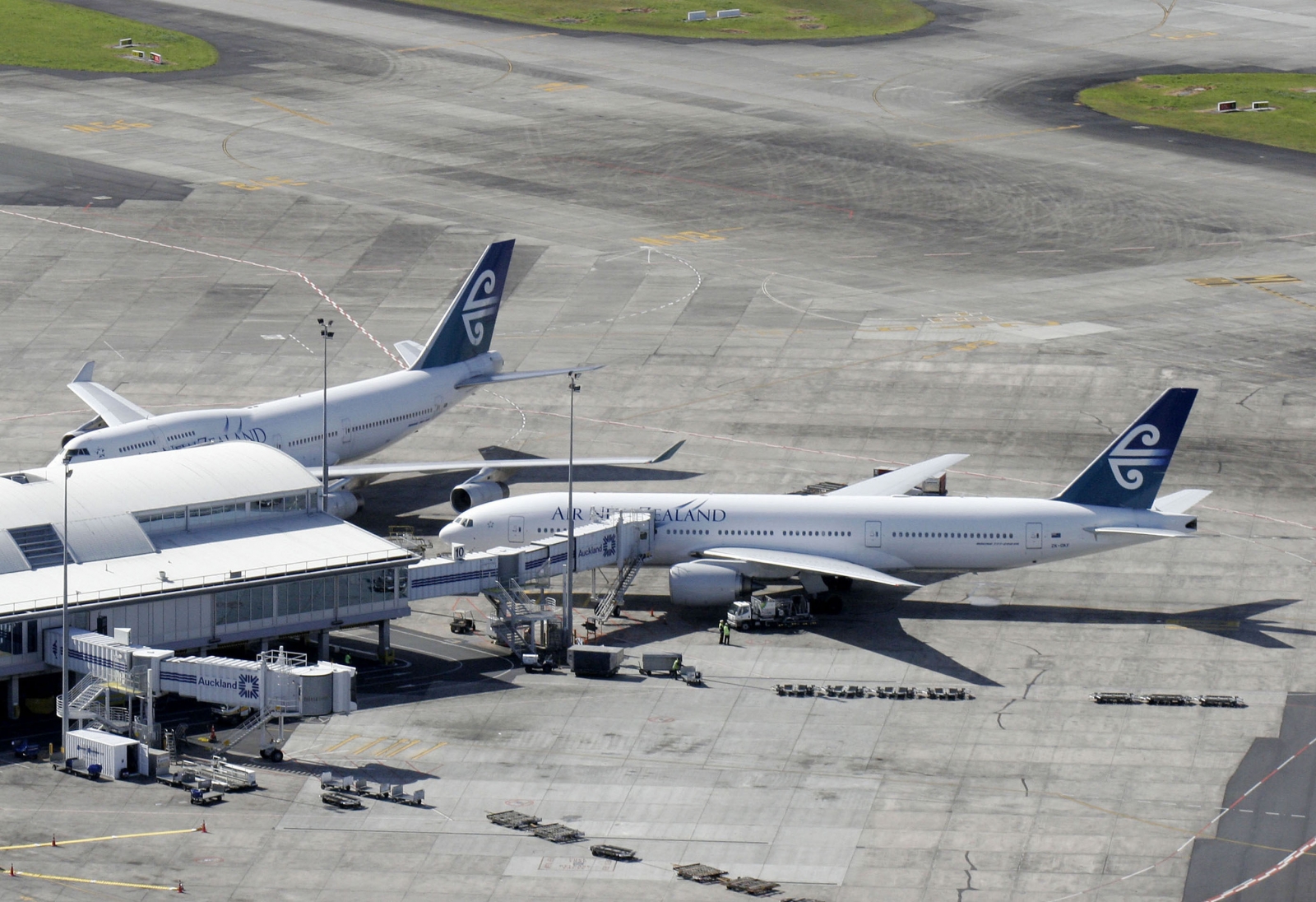 Police shoot dead security sniffer dog at Auckland airport because it