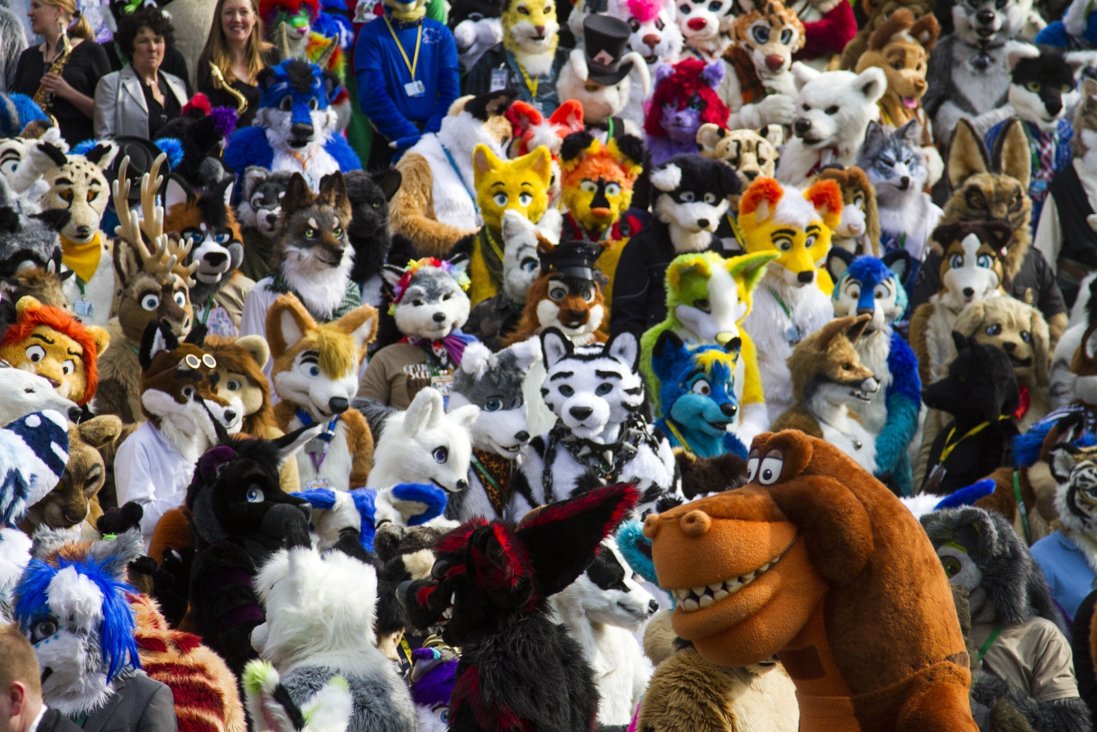 Confused woman took her pet dog to furry convention — and they both