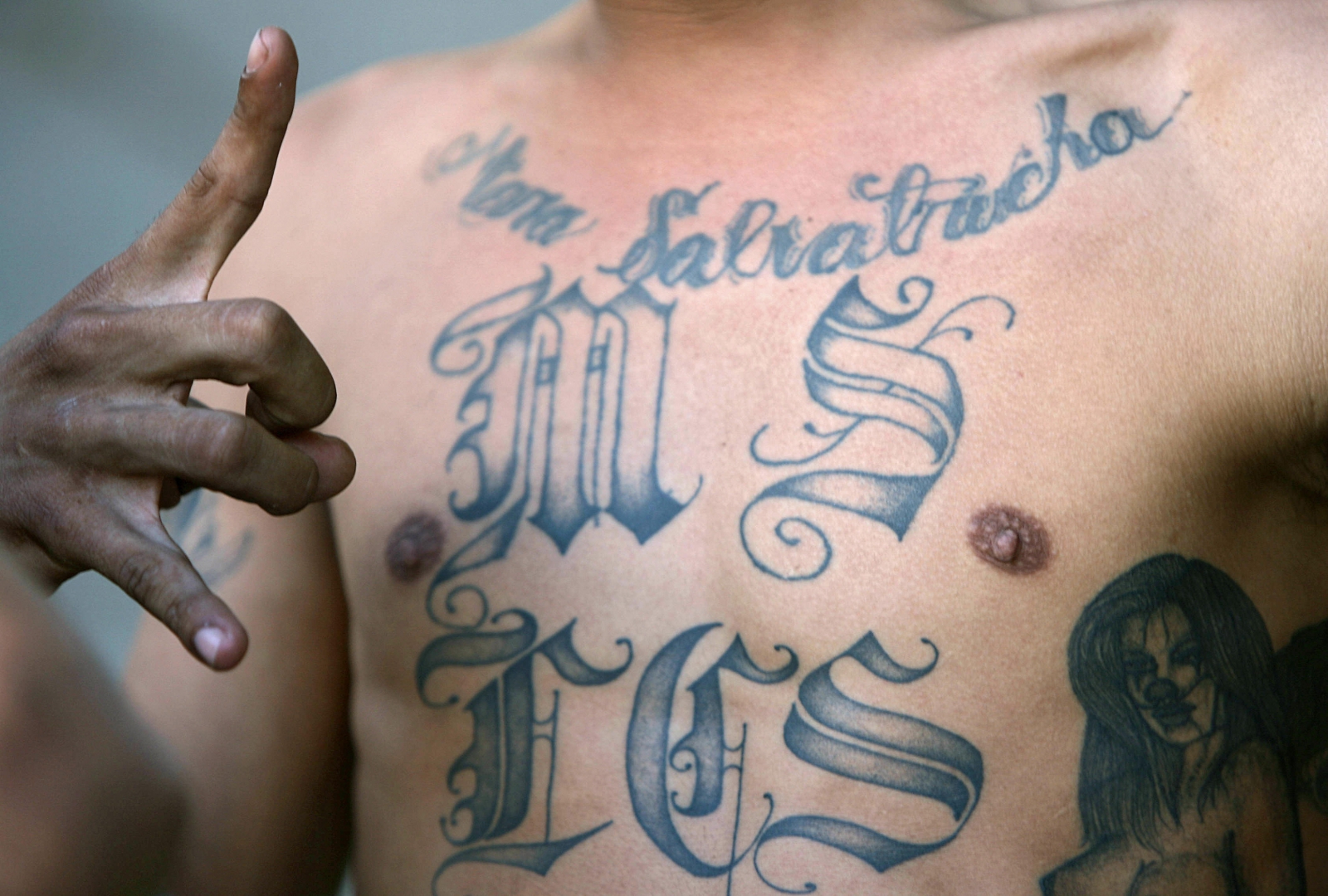 gangs-who-defied-the-mexican-mafia-youtube