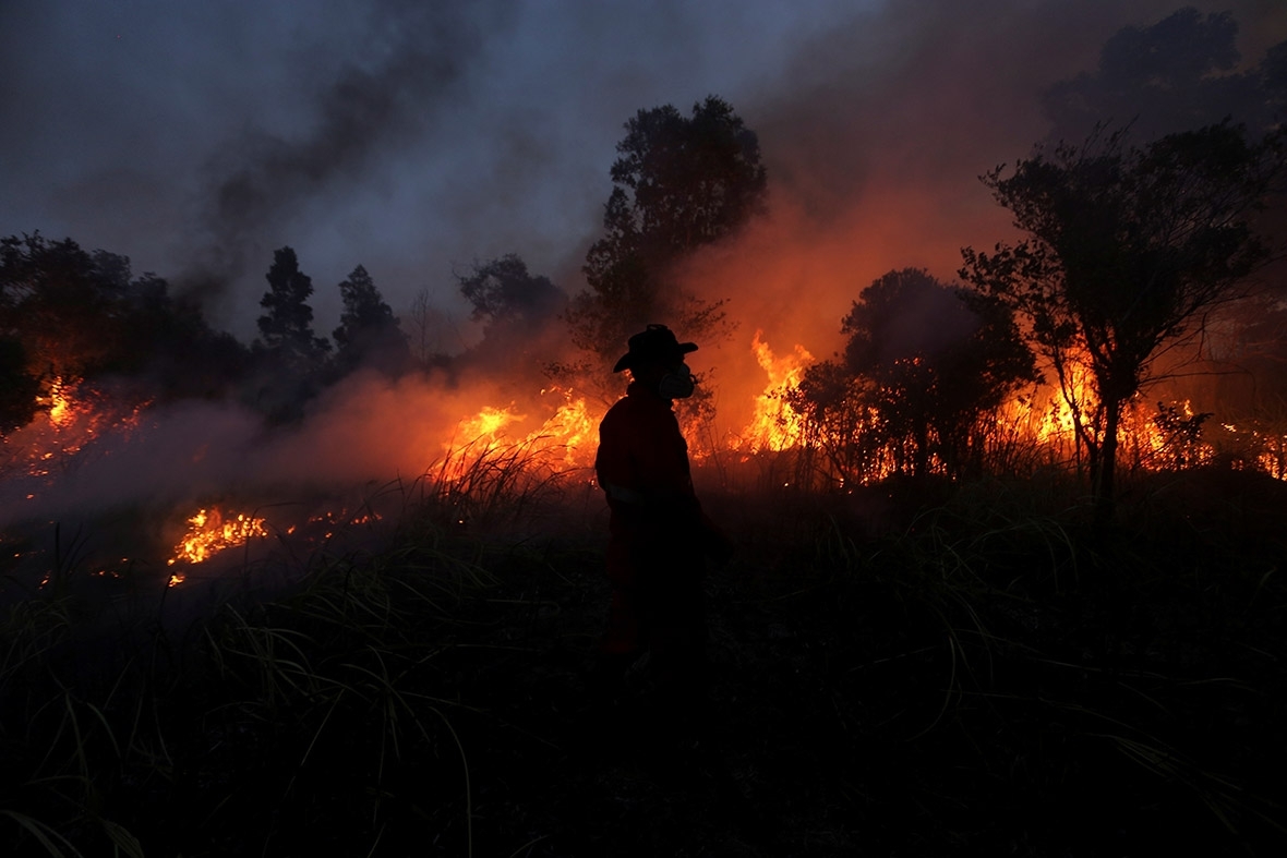 Italy Forest Fires