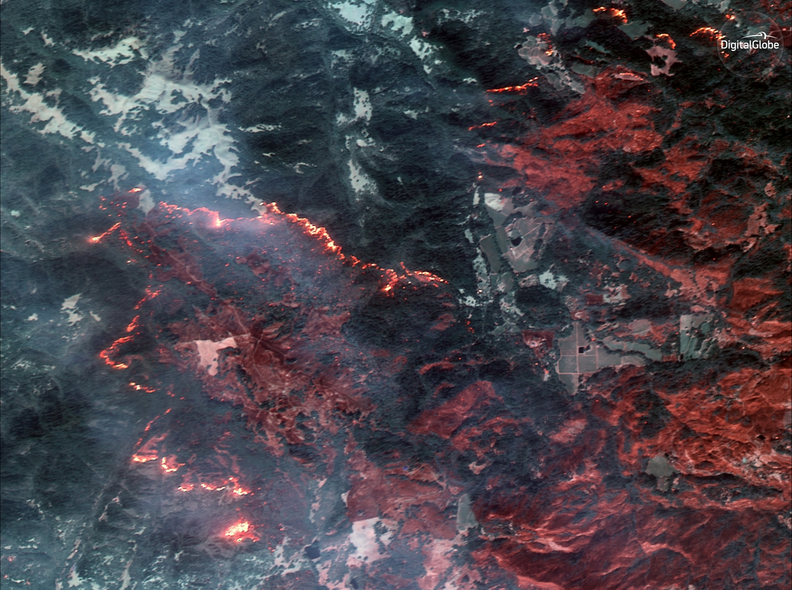 Satellite pictures reveal shocking devastation of California wildfires