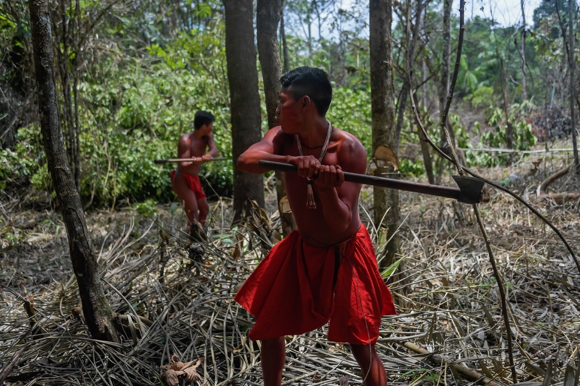 Amazon Rainforest Tribes