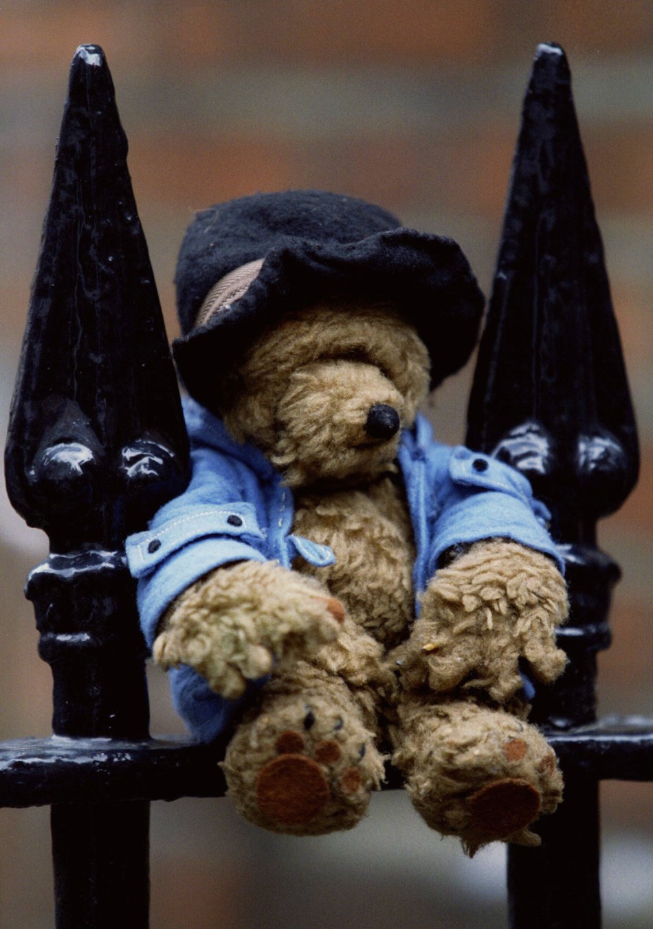 Paddington Bear is Britain's Top Animated Character
