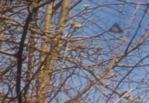 Mysterious Dudley Dorito UFO caught on camera after being spotted flying above woodland in Yorkshire