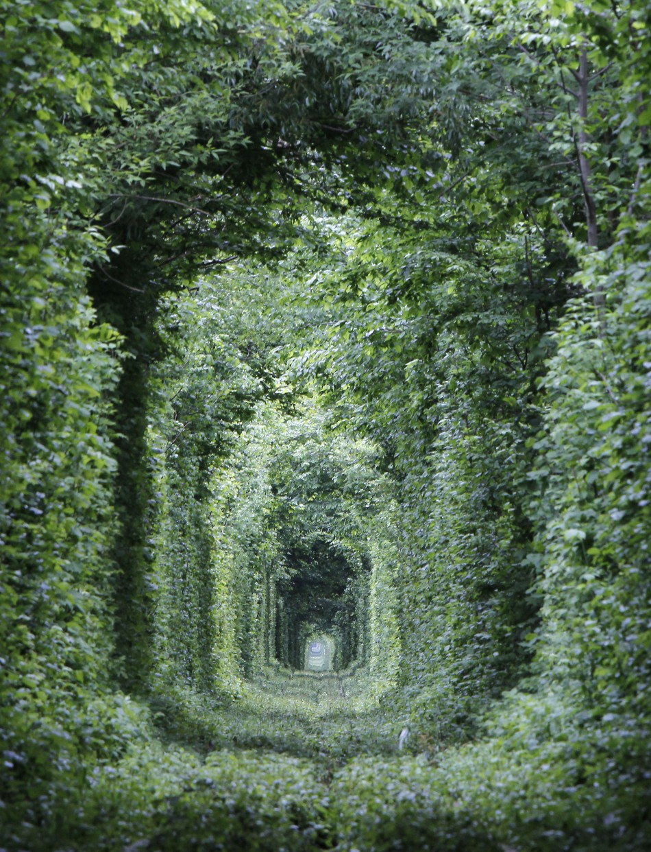 A general view of a disused railway track, through what is known locally as the