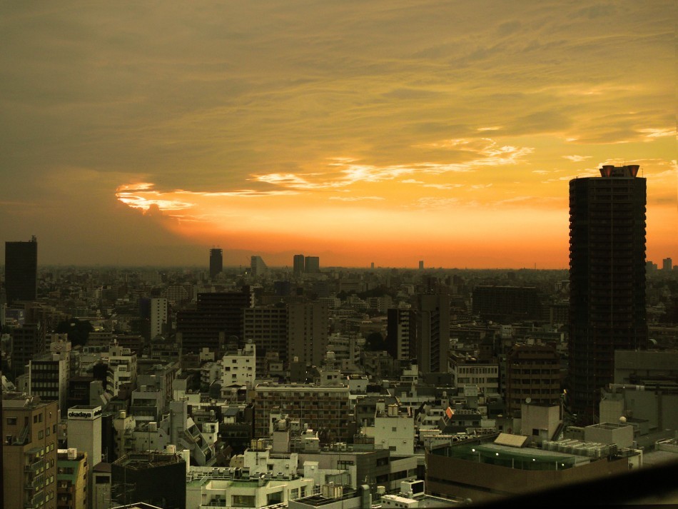 GPI Score:1.293
Perceived Criminality in Society: 2
Homicides: 1
Jailed Population: 1
Access to Weapons: 1
Political Instability: 1
Pictured: Tokyo at sunset
6.Japan