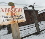 holocaust holocaust