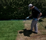painting grass green