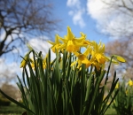 UK weather UK weather