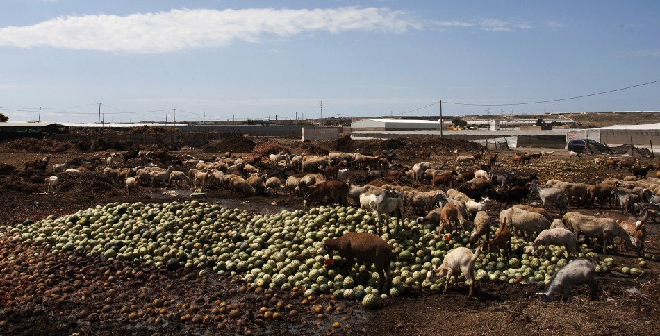 This outbreak should be a warning call for the deadly spread of resistant microbes. This outbreak should be a warning call for the deadly spread of resistant microbes.