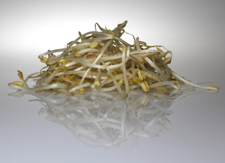 Locally-grown bean sprouts have been acknowledged as the cause of the outbreak that has killed 29 and sickened nearly 3,000.