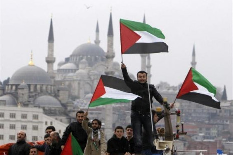 Pro-Palestinian activists wave Palestinian flags during the welcoming ceremony for cruise liner Mavi Marmara at the Sarayburnu port of Istanbul December 26, 2010. Nine Turkish activists died in May when Israeli commandos raided the boat, which was part of